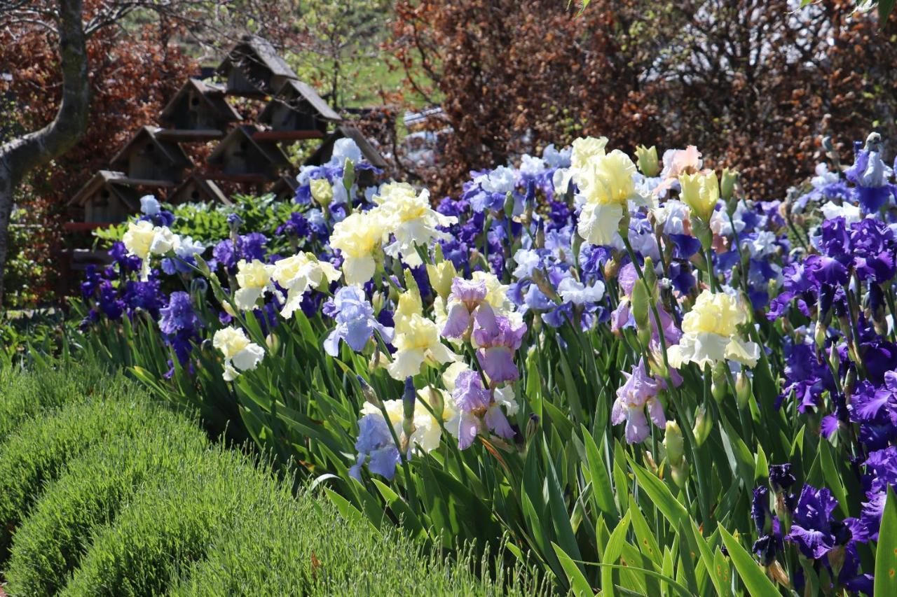 Hurunui Homestead Bed And Breakfast Hawarden 外观 照片