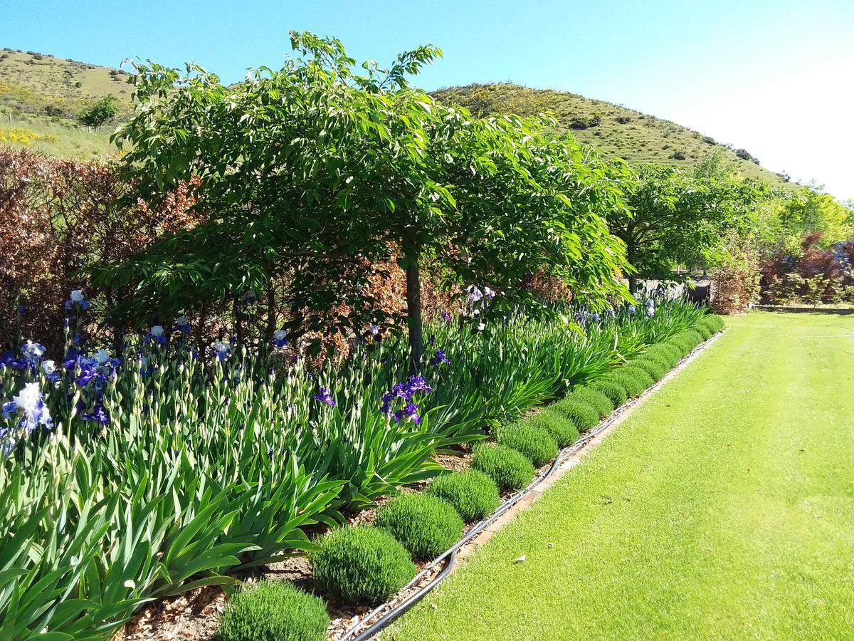 Hurunui Homestead Bed And Breakfast Hawarden 外观 照片